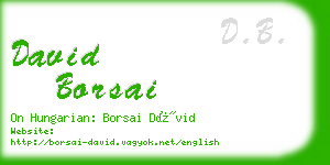 david borsai business card